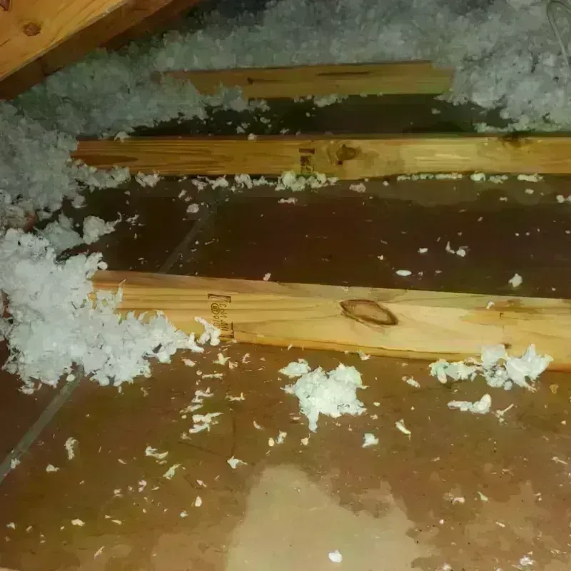 Attic Water Damage in Atwater, MN